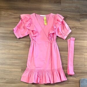Zara Pink Ruffle Sleeve Dress